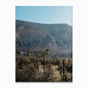 Mountains of Morocco with palmtrees | Travel Photography Canvas Print