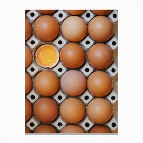 Eggs In A Carton 12 Canvas Print