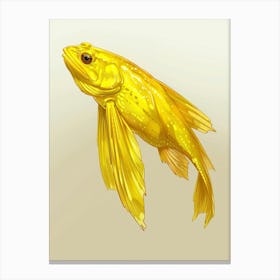Goldfish 4 Canvas Print