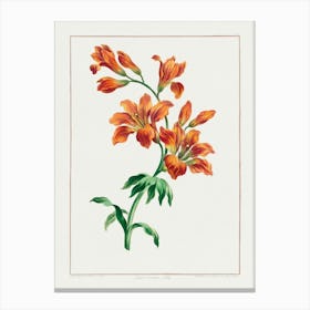 Orange Lily Canvas Print