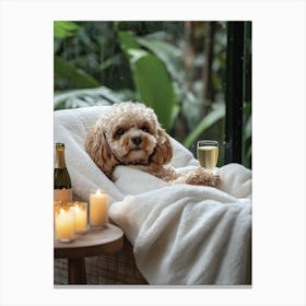 Cavapoo At The Spa 2 Canvas Print