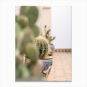 Cactus Pot Botanical    Canvas Print