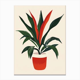 Bromeliad Plant Minimalist Illustration 8 Canvas Print