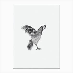 Chicken B&W Pencil Drawing 2 Bird Canvas Print