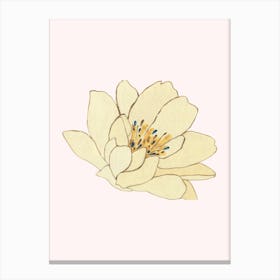 Lotus Flower 27 Canvas Print