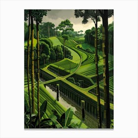 'The Rice Fields' Canvas Print