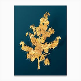 Vintage Aloe Yucca Botanical in Gold on Teal Blue n.0360 Canvas Print