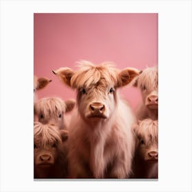 Pink Portrait Of Baby Highland Cows Canvas Print