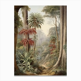 Vintage Jungle Botanical Illustration Cordyline 3 Canvas Print