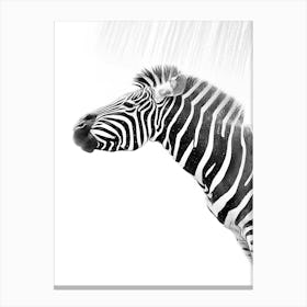 Zebra in the shower Canvas Print