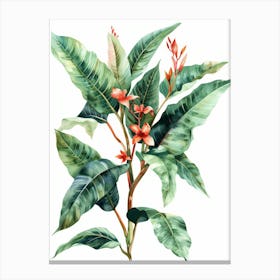 Hibiscus 20 Canvas Print