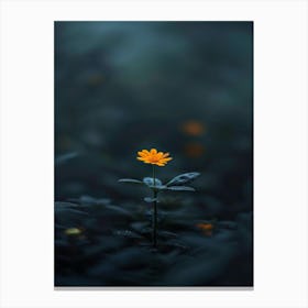 Single Flower In The Dark 38 Canvas Print