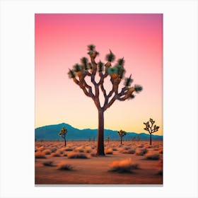 Joshua Tree At Dawn In The Desert In South Western Style  (2) Canvas Print