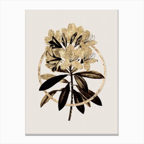 Gold Ring Common Rhododendron Glitter Botanical Illustration n.0134 Canvas Print