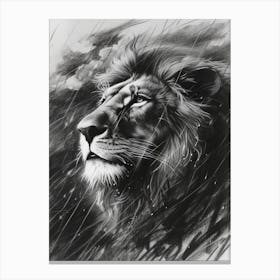 African Lion Charcoal Drawing Facing A Storm 3 Canvas Print