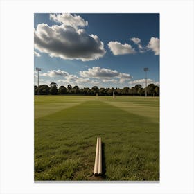 Cricket Field 2 Canvas Print