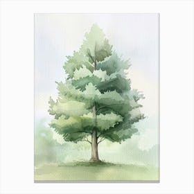 Cedar Tree Atmospheric Watercolour Painting 2 Canvas Print