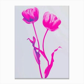 Hot Pink Tulip 3 Canvas Print