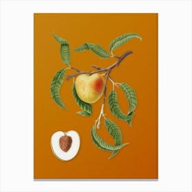 Vintage Peach Botanical on Sunset Orange n.0186 Canvas Print