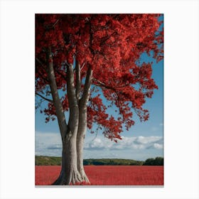 Red Tree In A Field Canvas Print