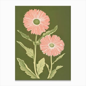 Pink & Green Calendula 1 Canvas Print