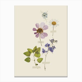 Wildflowers Canvas Print