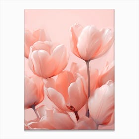 Bleached Tulips Canvas Print