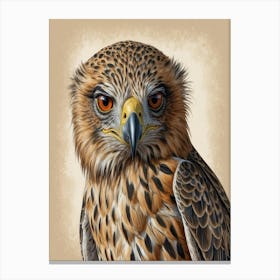 Hawk hawk Canvas Print