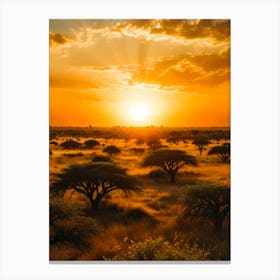 Sunset In The Savannah Canvas Print