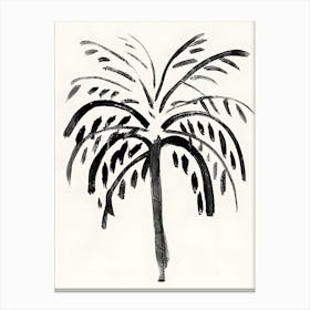 Palm Tree 7 Canvas Print