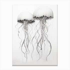 Irukandji Jellyfish Drawing 4 Canvas Print