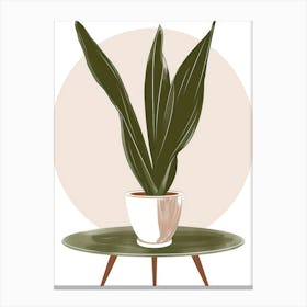 Potted Plant 22 Canvas Print