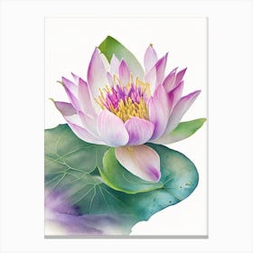 Water Lily Wildflower Watercolour Canvas Print