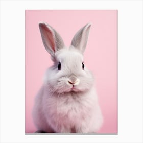 Cute Rabbit On Pink Background Canvas Print