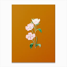 Vintage Pink Oenothera Flower Botanical on Sunset Orange n.0867 Canvas Print