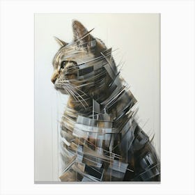 Cat In A Box Canvas Print