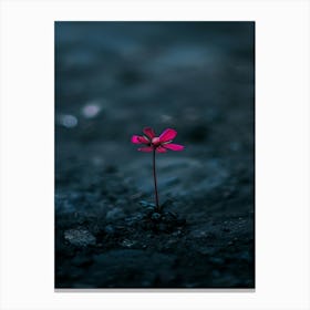 Flower In The Dark 19 Canvas Print