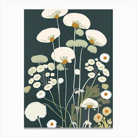 Queen Anne's Lace Wildflower Modern Muted Colours 1 Canvas Print
