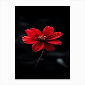 Red Dahlia Flower 2 Canvas Print