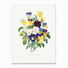 Pansy Bouquet, Pierre Joseph Redouté Canvas Print