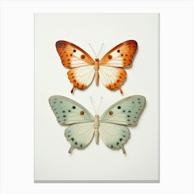 Two Butterflies Canvas Print