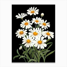 Daisies 2 Canvas Print