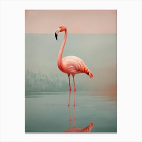 Flamingo Canvas Print