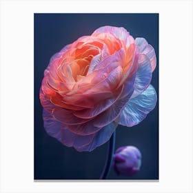 Peony 2 Canvas Print