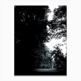 Park Garden Trees Nature Dark Light Photo Vertical Monochrome Black And White Canvas Print