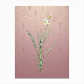 Vintage Ixia Anemonae Flora Botanical on Dusty Pink Pattern Canvas Print