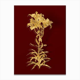 Vintage Fire Lily Botanical in Gold on Red n.0011 Canvas Print