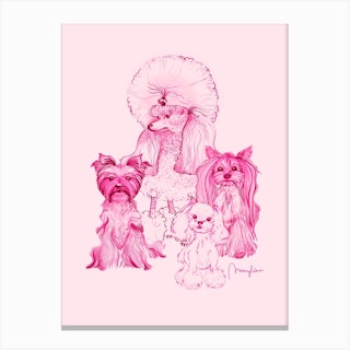 Dogs With Haircuts Canvas Print