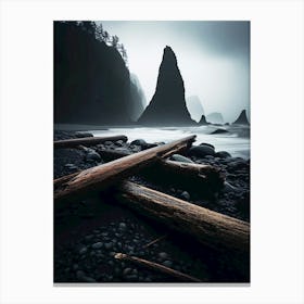 Olympic Coast Canvas Print