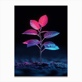 Plant Growing In The Dark 27 Canvas Print